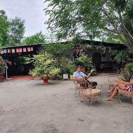 Alojamiento Casa De Campo Los Cactus Villavieja Exterior foto