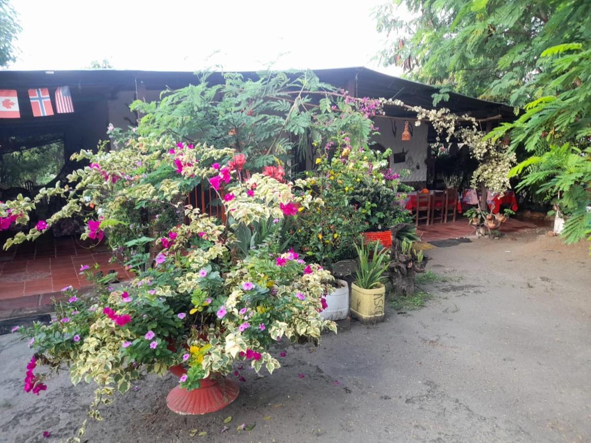 Alojamiento Casa De Campo Los Cactus Villavieja Exterior foto