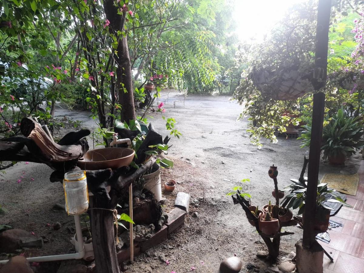 Alojamiento Casa De Campo Los Cactus Villavieja Exterior foto