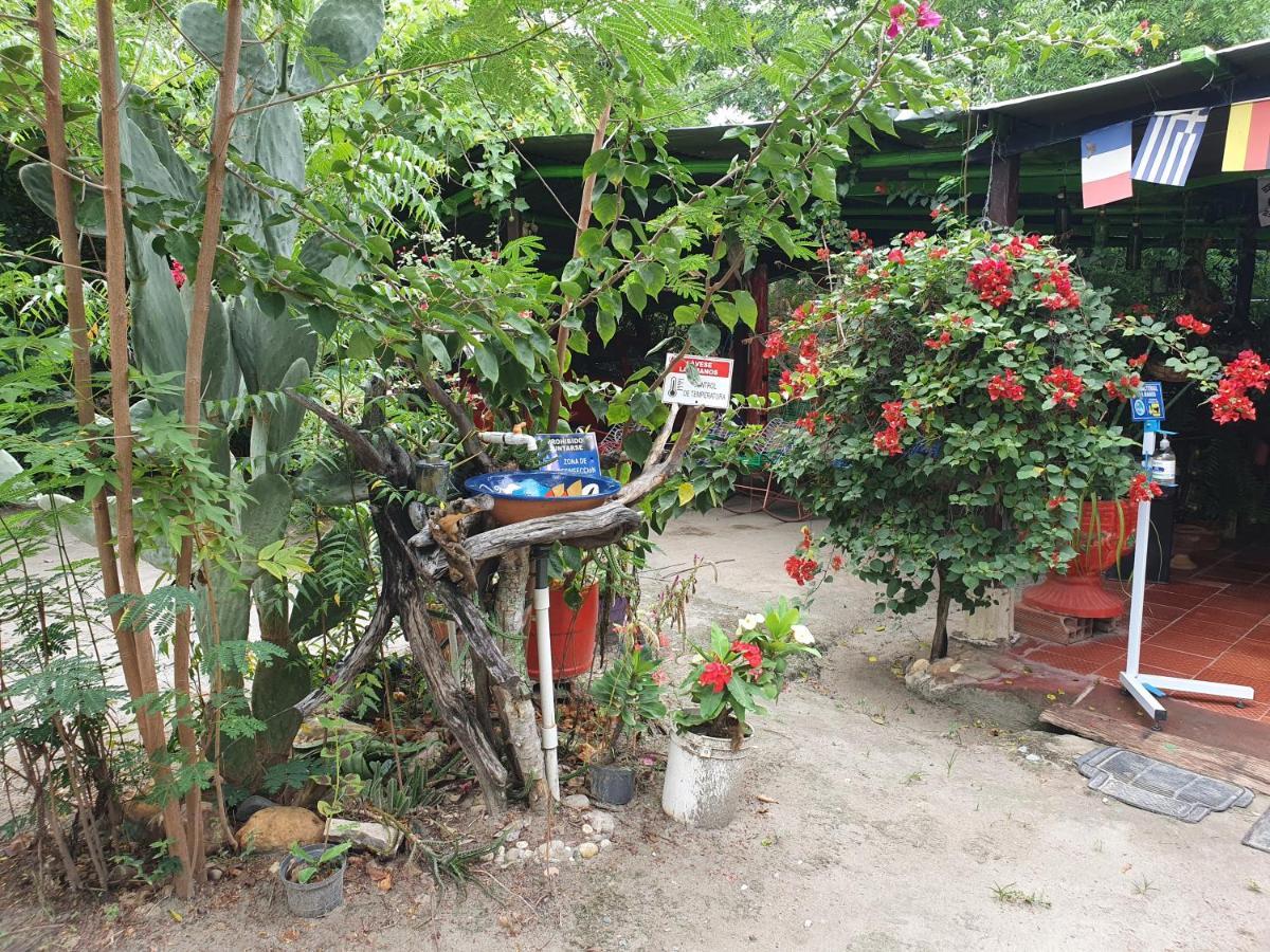 Alojamiento Casa De Campo Los Cactus Villavieja Exterior foto