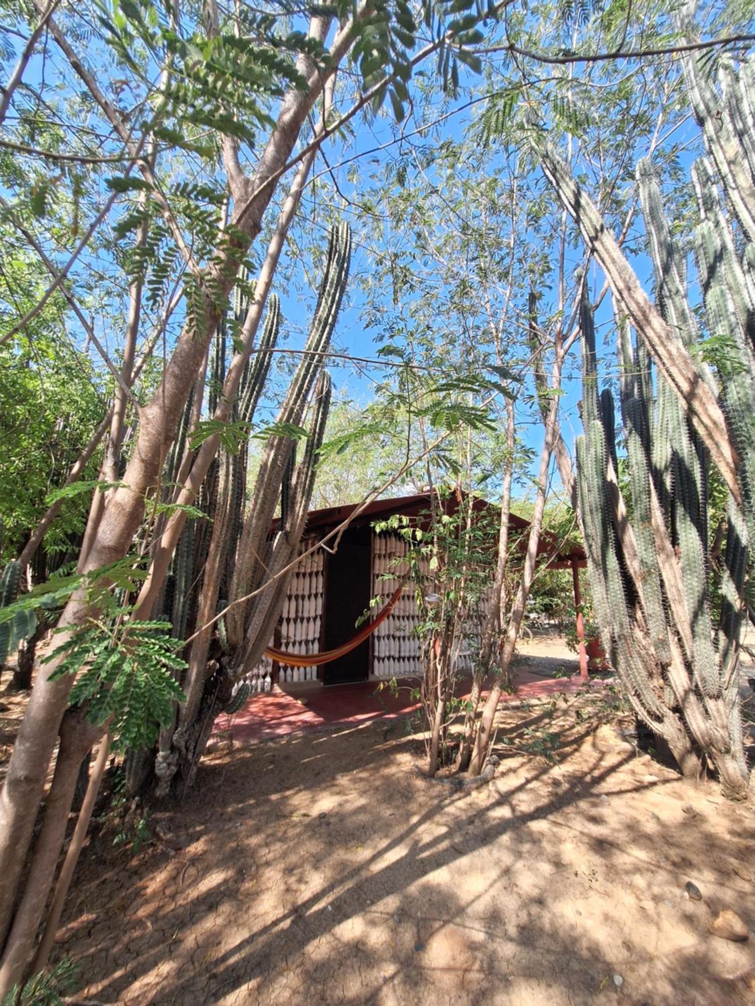 Alojamiento Casa De Campo Los Cactus Villavieja Exterior foto