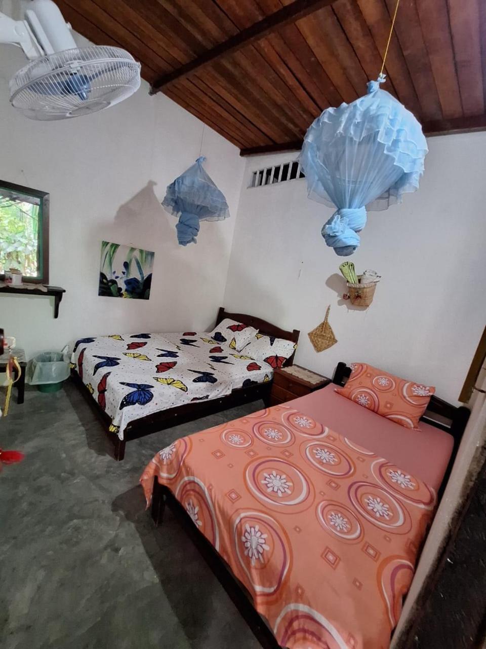Alojamiento Casa De Campo Los Cactus Villavieja Exterior foto