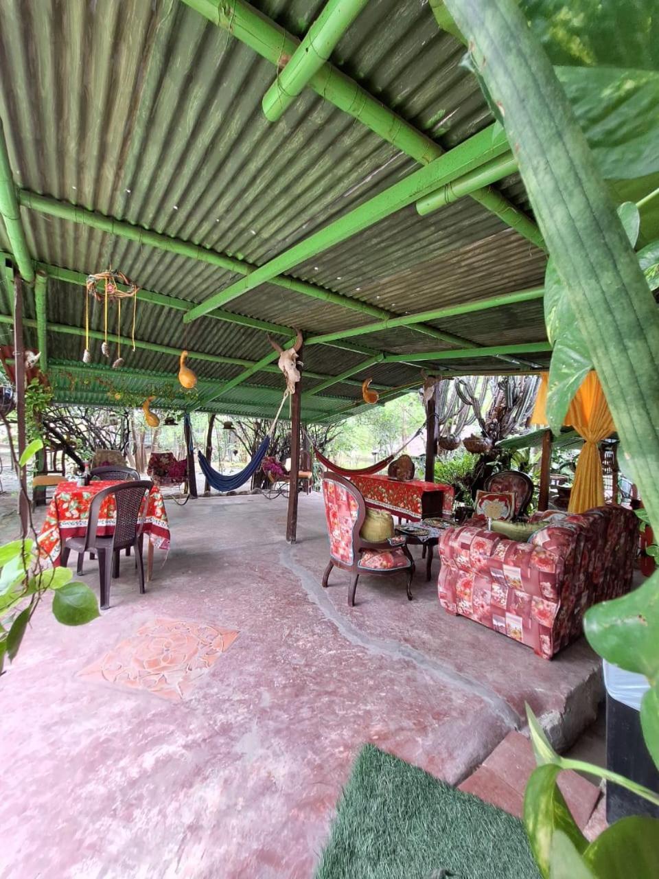Alojamiento Casa De Campo Los Cactus Villavieja Exterior foto