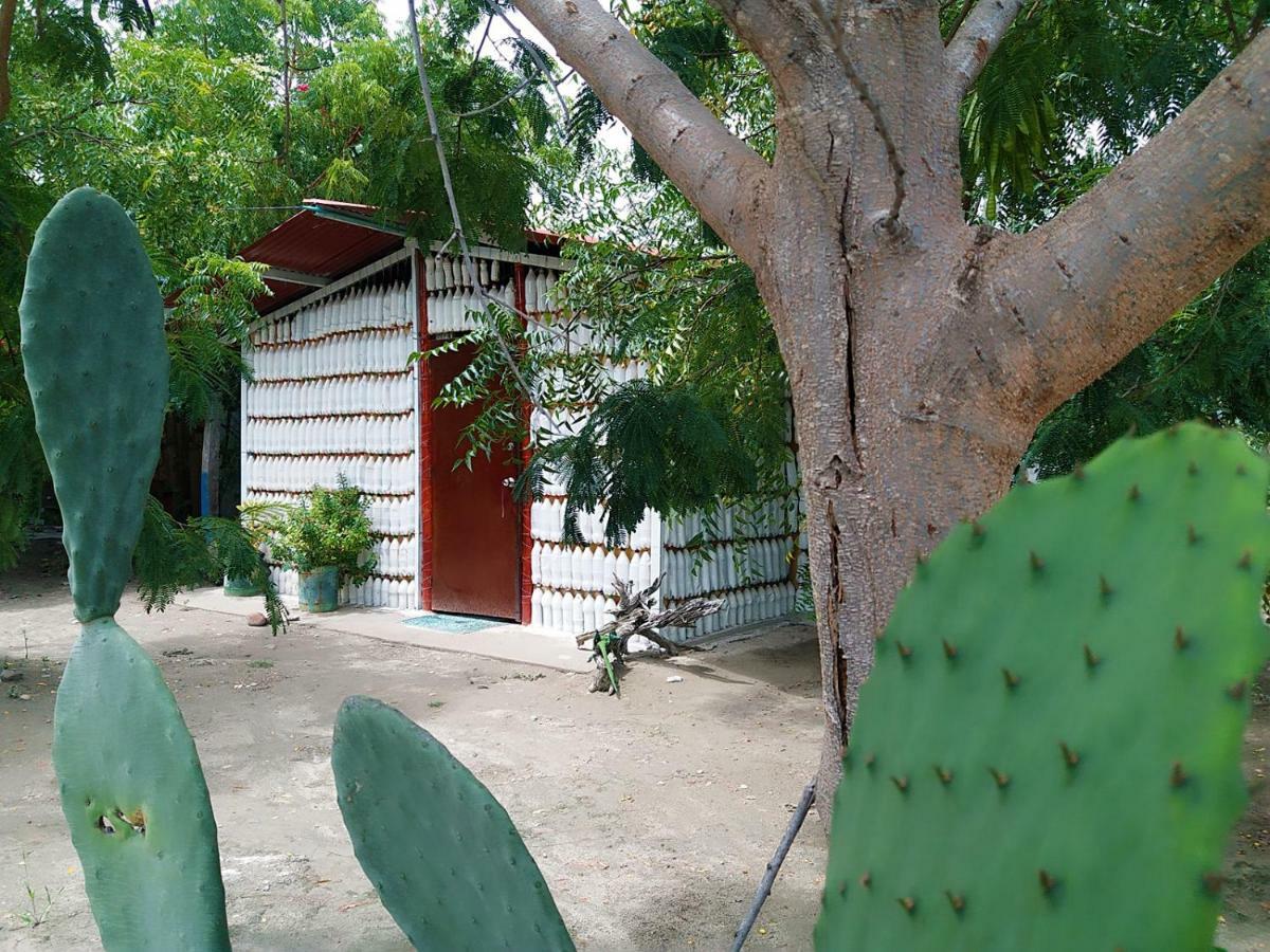 Alojamiento Casa De Campo Los Cactus Villavieja Exterior foto